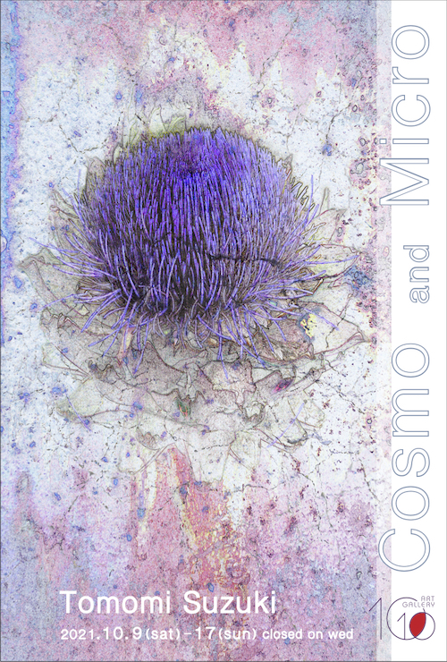 Tomomi SUZUKI ”Cosmo and Micro” 鈴木朝潮 1010 Art Gallery